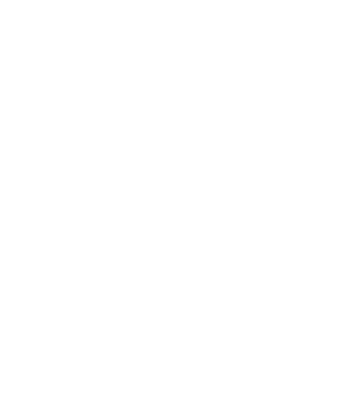 Mai Amer logo